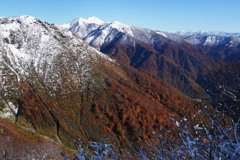 ガドーショコラの三段紅葉