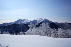 3月の霧氷