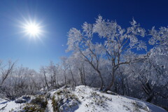 快晴の霧氷ハイク