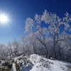 快晴の霧氷ハイク
