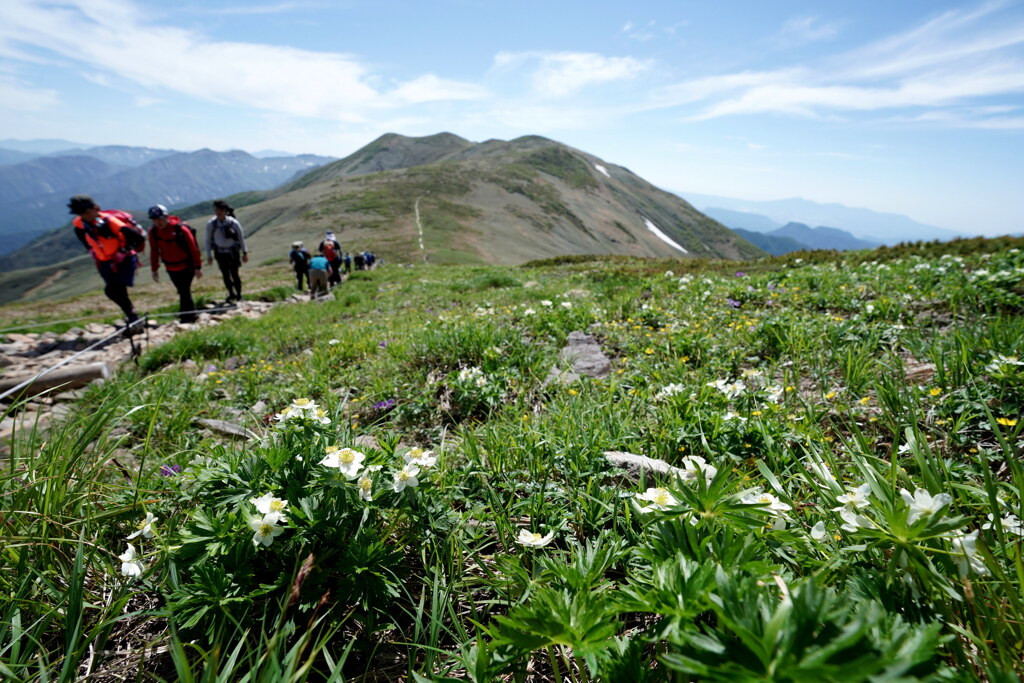 賑わう平標山