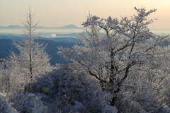 霧氷の先に