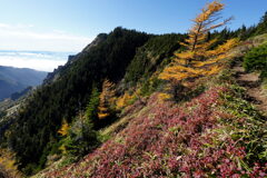 秋色の黒斑山 秋色の黒斑山
