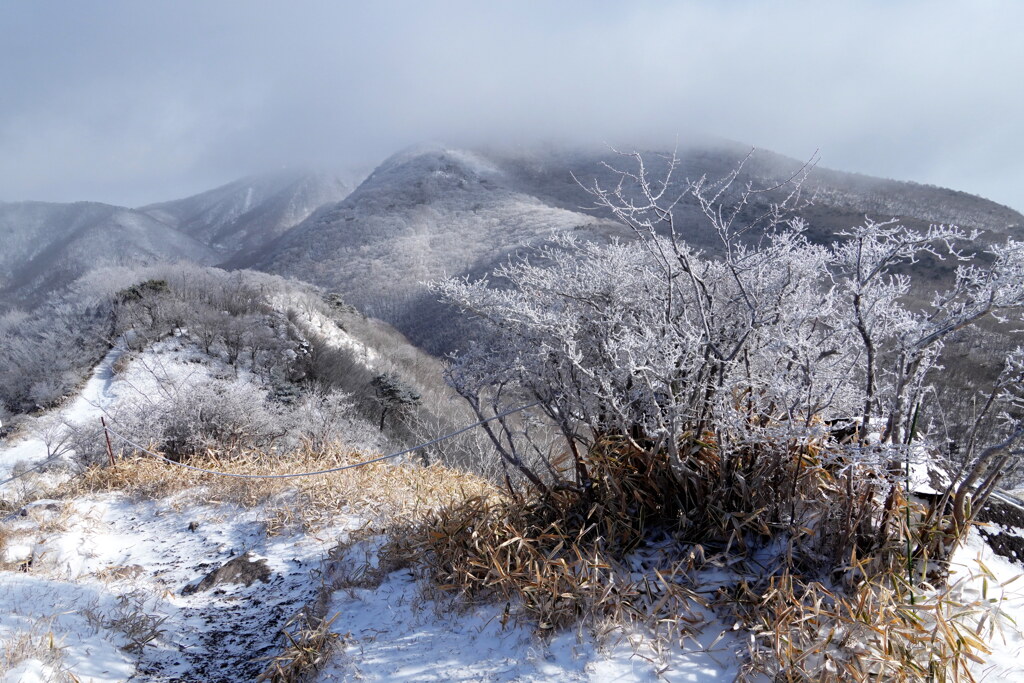 晴れ予報ですが