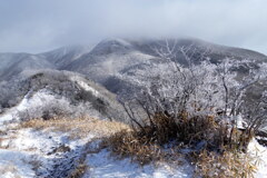 晴れ予報ですが