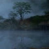 朝霧湧く覚満淵