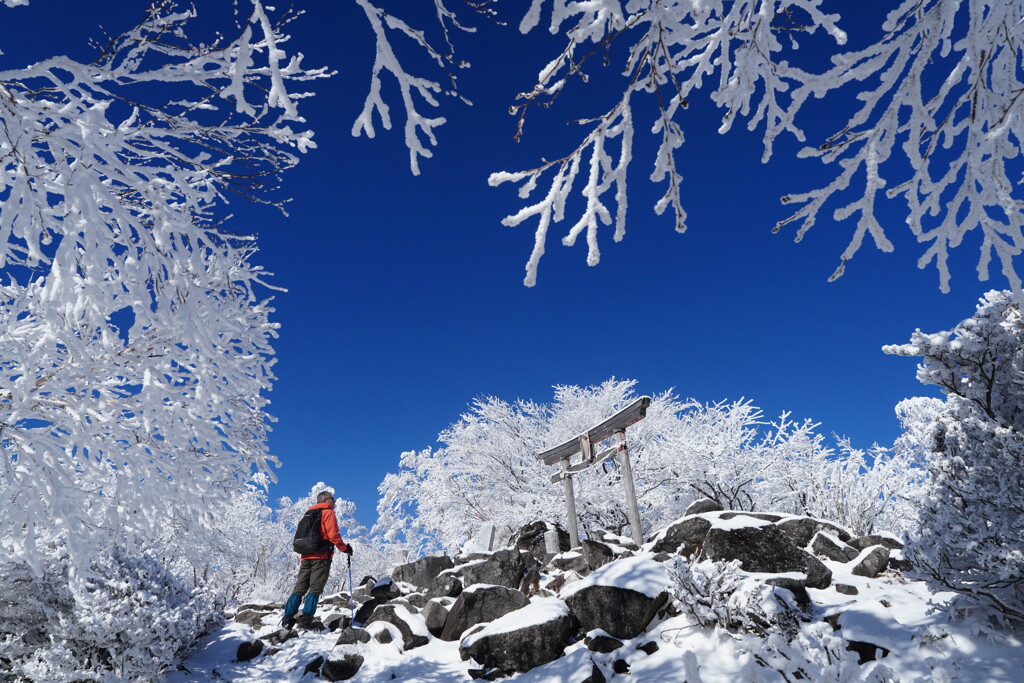 霧氷囲む黒檜山大神
