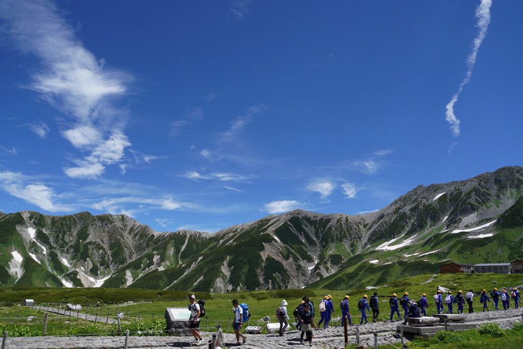 夏旅行