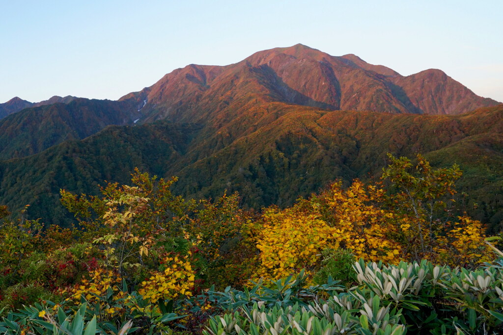 越後駒ヶ岳モルゲン