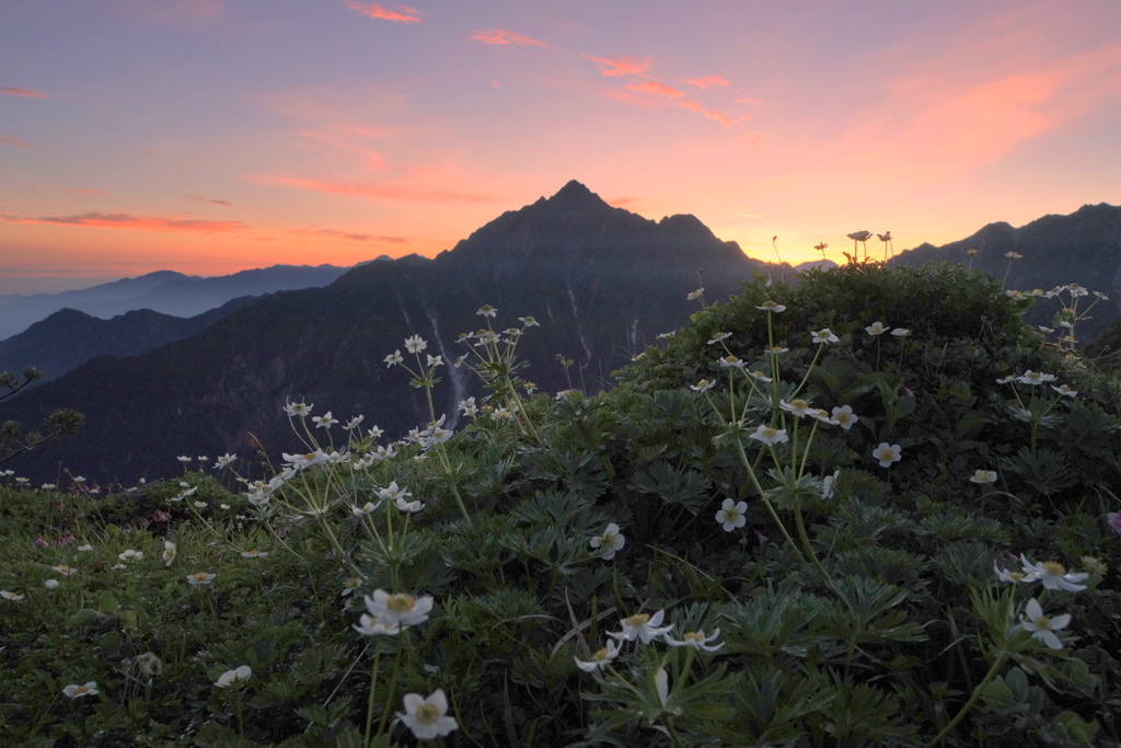 夜明けの奥大日岳