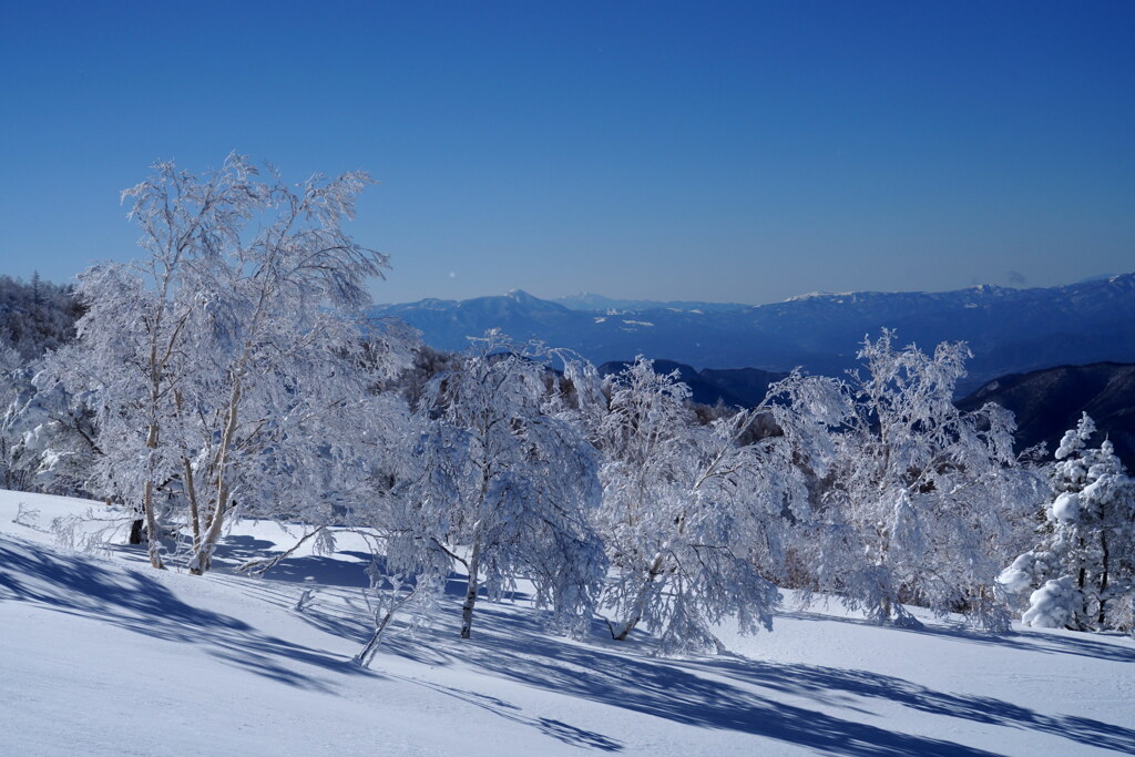 雪景色に魅せられて