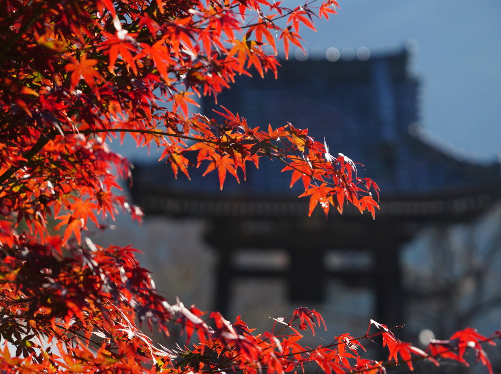 モミジと鐘撞堂