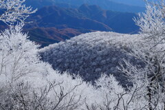 霧氷のベール