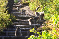 通せんぼ