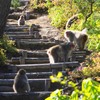 通せんぼ