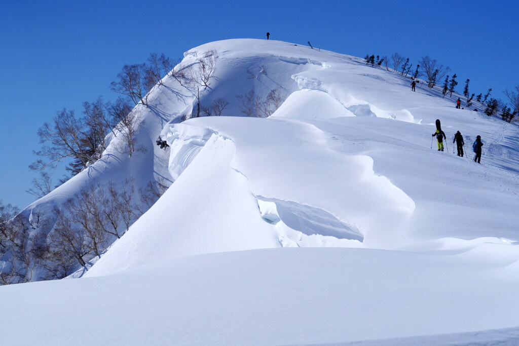 雪庇尾根を行く