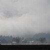 朝霧に包まれて