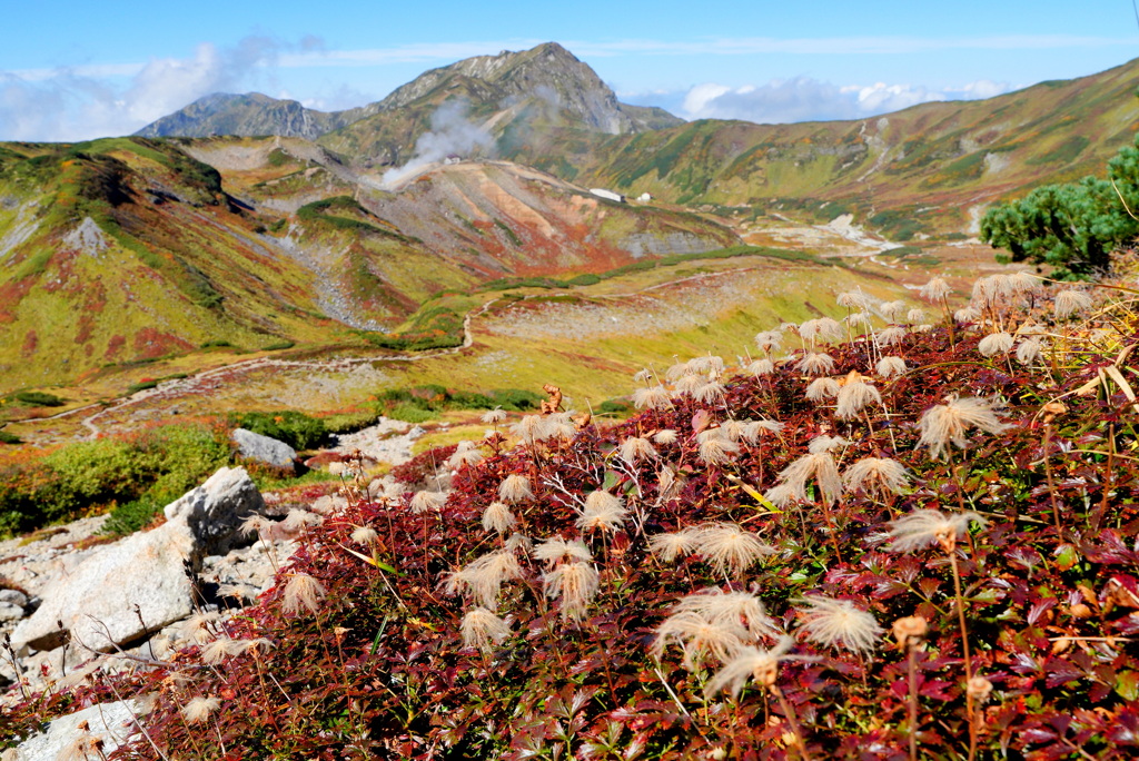 紅葉染まる絶景