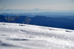 雪面きらり