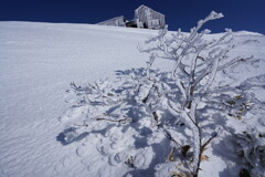 雪の花咲く肩ノ小屋