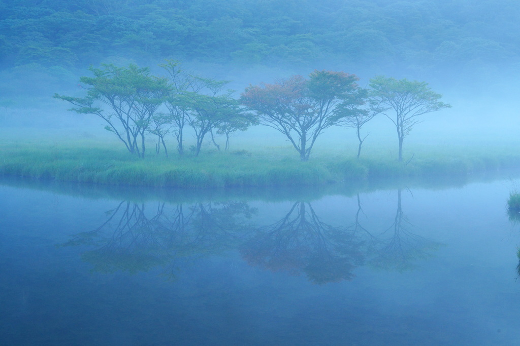 朝霧ショー中盤へ