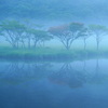 朝霧ショー中盤へ