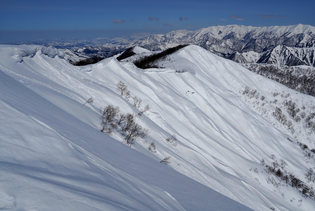 生クリームの雪尾根