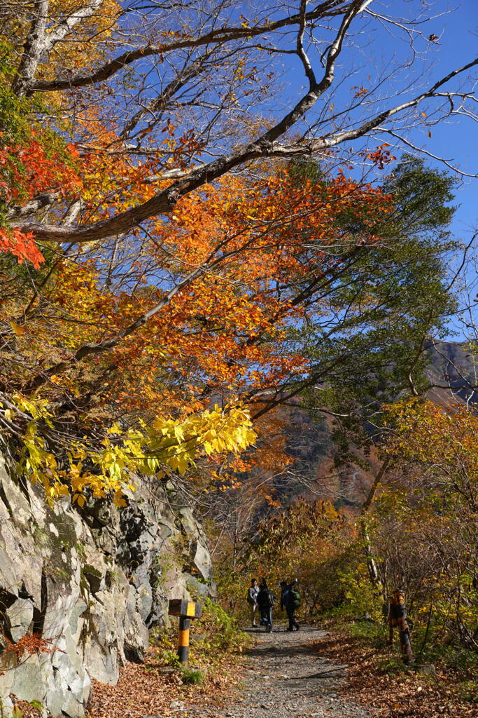 カラフルな小径