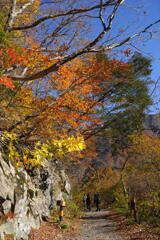 カラフルな小径