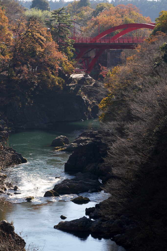 晩秋の高津戸峡
