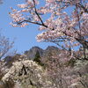 八重桜咲く妙義山