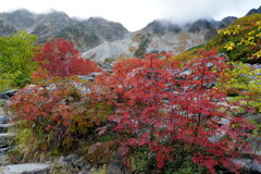 秋　涸沢へ