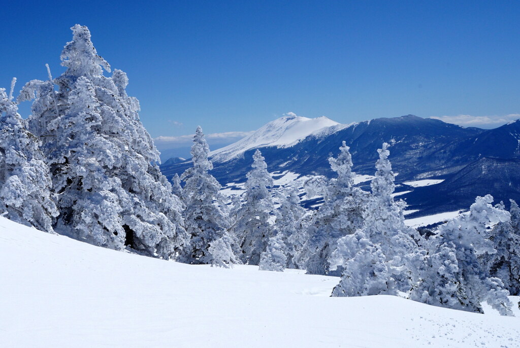 春のスノモン四阿山