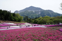 芝桜と武甲山