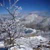 寒風の地蔵岳