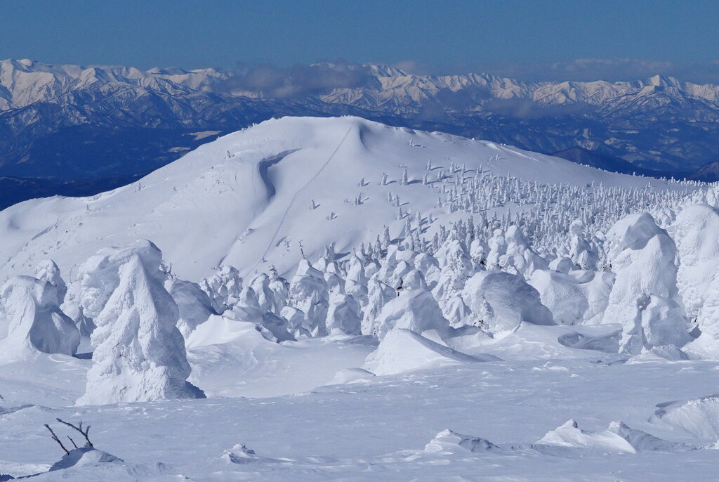 モンスター遊ぶ蔵王山