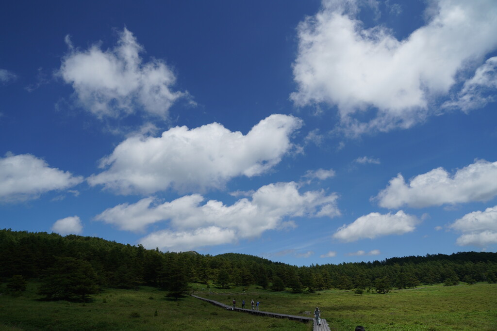 夏雲を仰いで