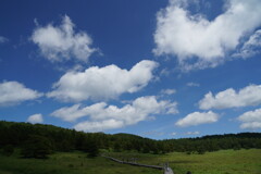 夏雲を仰いで