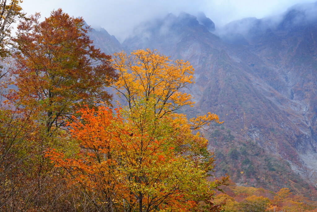 岩と紅葉