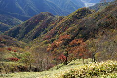 社山の秋