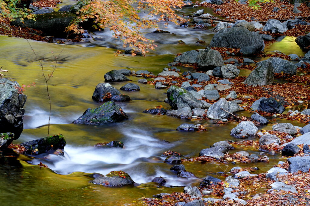 桐生川の秋