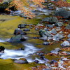 桐生川の秋