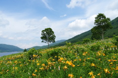 野反湖の夏