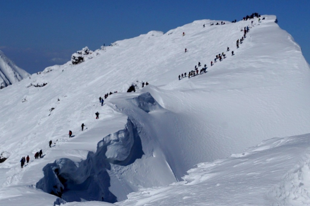 雪山で見た蟻の行列