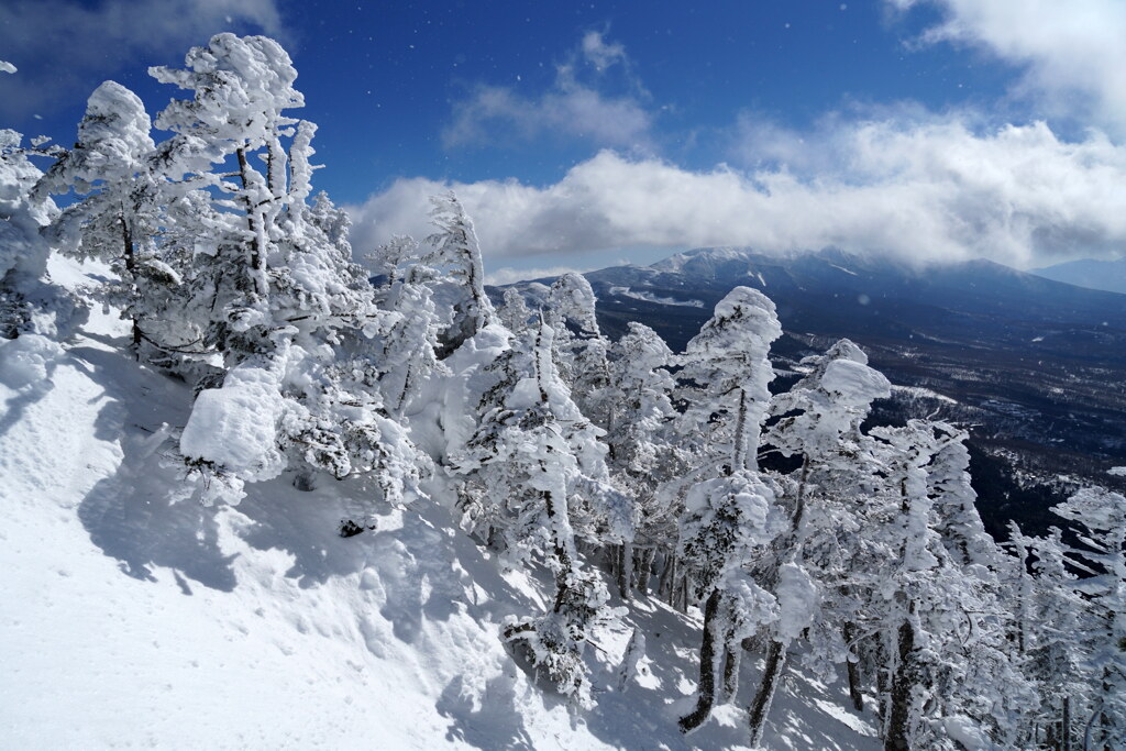 樹氷覆う北八ヶ岳