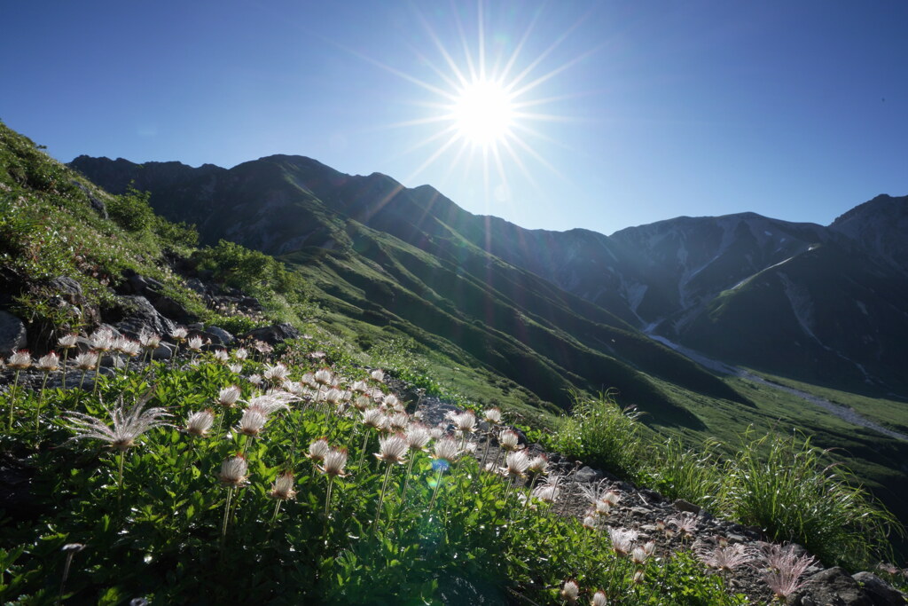 夏の奥大日岳