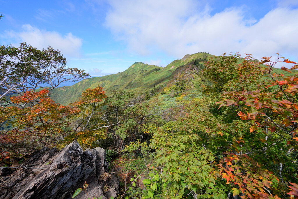 紅葉には少し早いけど