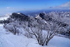 霧氷の花咲く