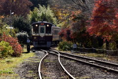 秋の渡良瀬渓谷鉄道