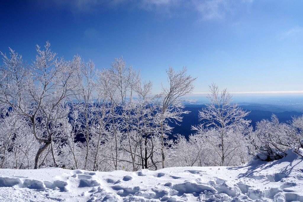 夢氷（霧氷）